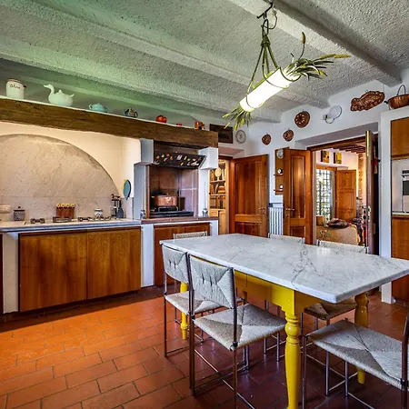 Dei Pavoni - * Montauto (Florence)